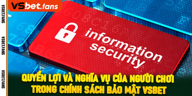 Quyền lợi và nghĩa vụ của người chơi trong chính sách bảo mật VSbet
