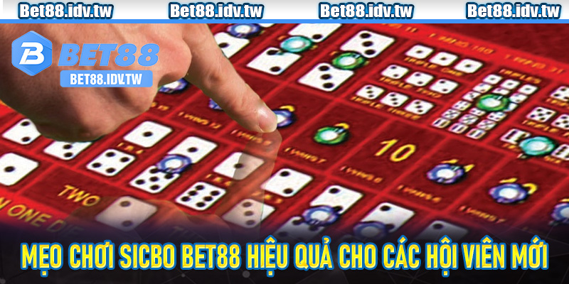 Mẹo chơi sicbo Bet88 hiệu quả cho các hội viên mới