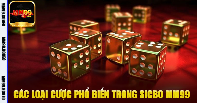 Các loại cược phổ biến trong Sicbo MM99